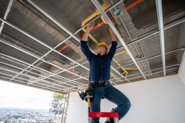 Best Plumbing Services Near Me  in Miami Shores, FL