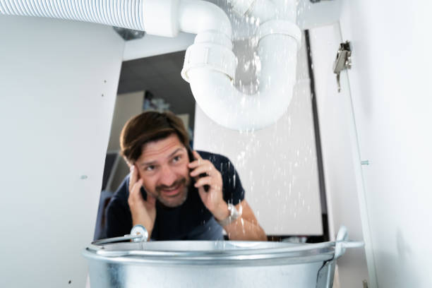Best Affordable Plumbing Services  in Miami Shores, FL